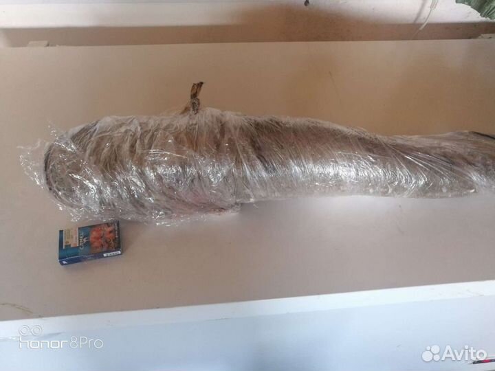 Рыба свежемороженая