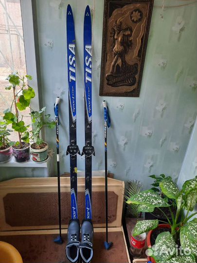 Лыжи беговые