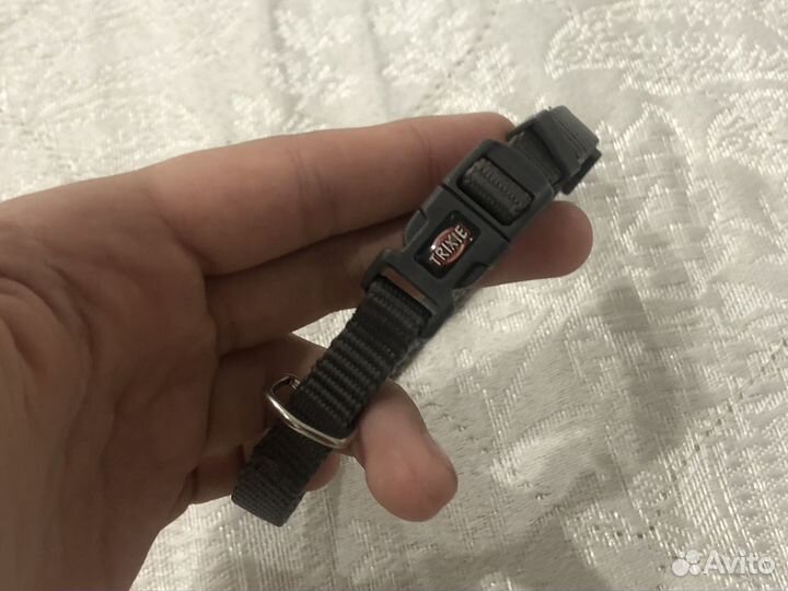 Ошейник для собак