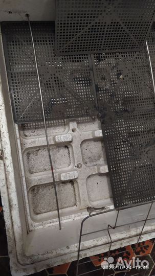 Инкубатор несушка