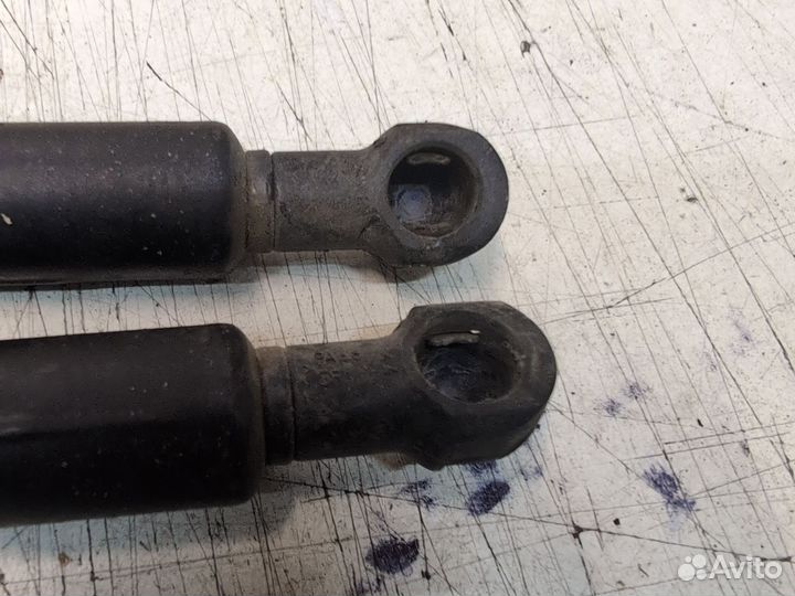 Амортизатор крышки багажника комплект Ford Focus 1