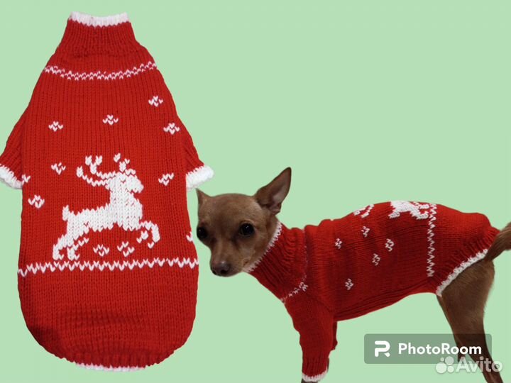 Одежда для маленьких собак