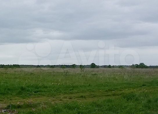 Участок 15,7 сот. (ИЖС)