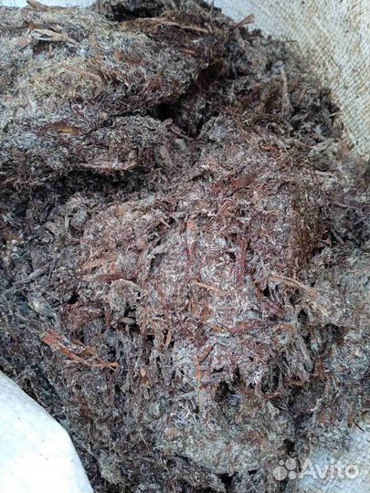 Мульча (Компост от шампиньонов)