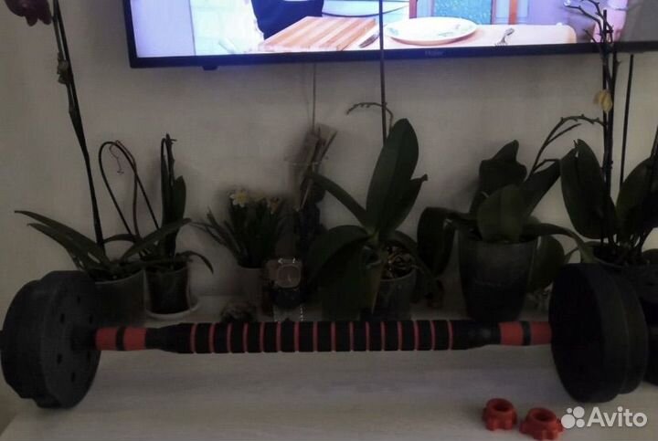 Гантели разборные 10 кг