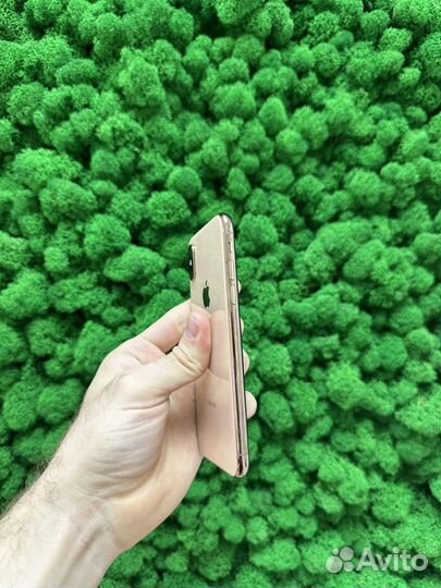 iPhone Xs, 256 ГБ