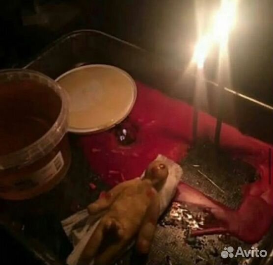 Гадание,приворот,обучение