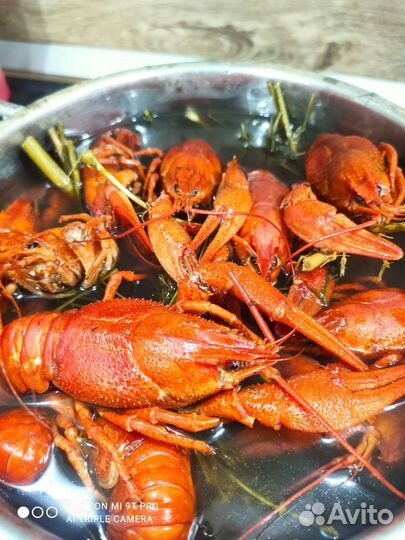 Живые раки с доставкой
