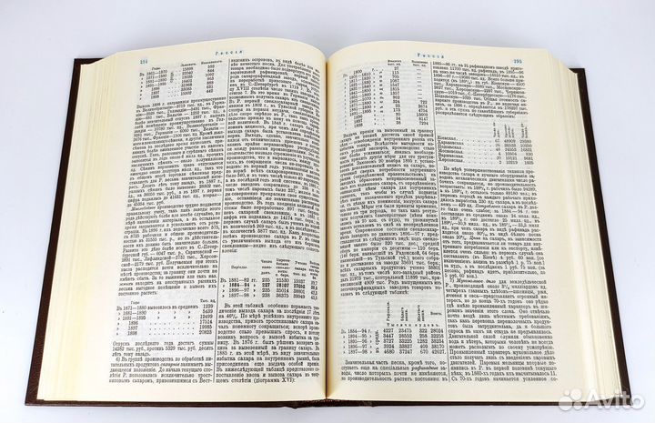 Россия. Энциклопедический словарь с картой-схемой