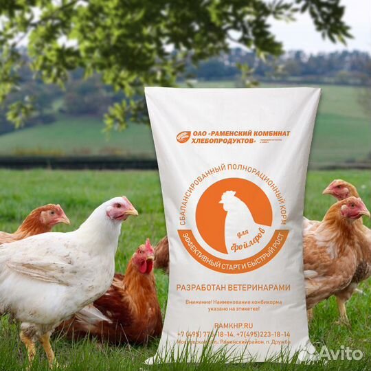 Комбикорма (спецкорма)