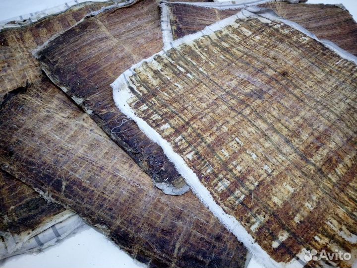 Прополисный холстик. Пенза