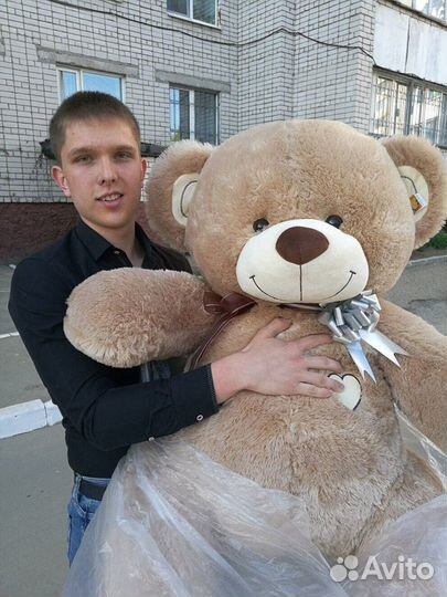 Плюшевые Мишки Медведи