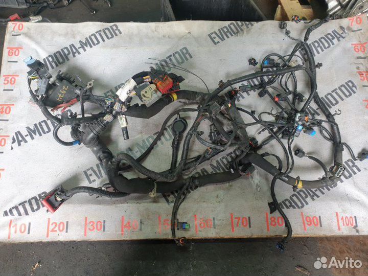 Проводка двс Land Rover Range Rover Evoque L538