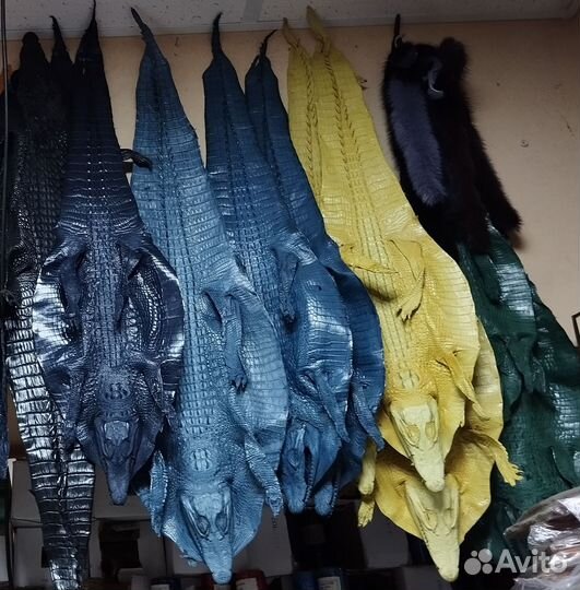 Кожа крокодила, шкура целиком