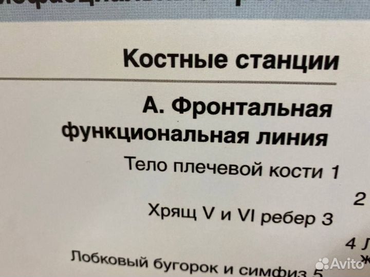 Плакаты анатомические поезда Томас Майерс 7шт