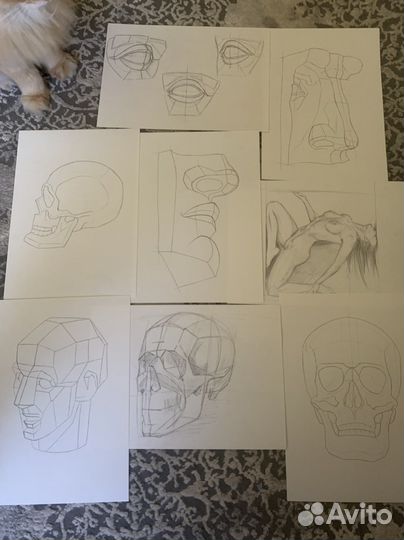 Домашка по живописи (натюрморт/пейзаж)