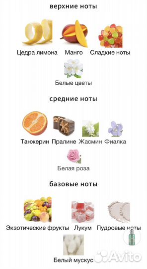 Attar Collection Al rayhan оригинал распив