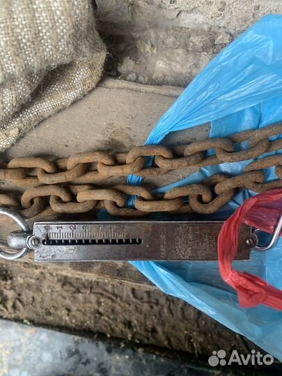 Цепь для собаки