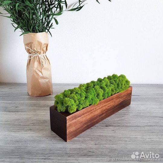 Стабилизированный мох панно