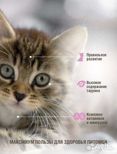 Сухой корм для котят Дарси