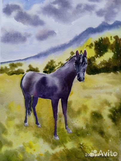 Лошадь, акварель