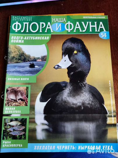 Наша флора и фауна