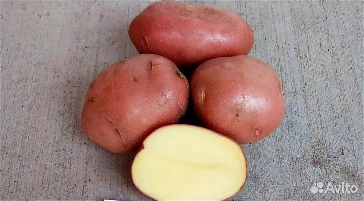 Картофель опт