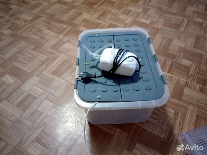 Продам рыбок саквариумам 80 литров