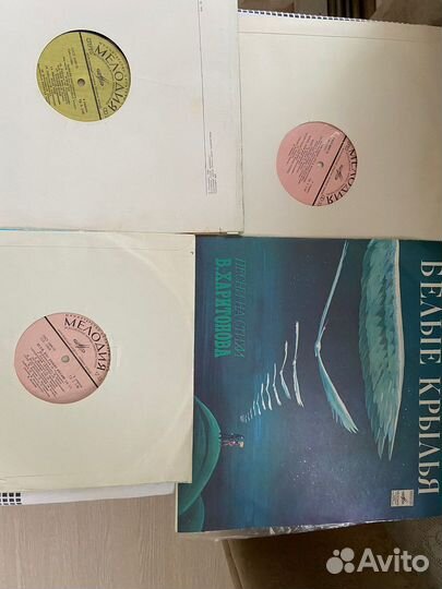 Виниловые пластинки