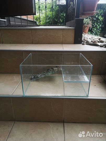 Аквариумы для водных черепах