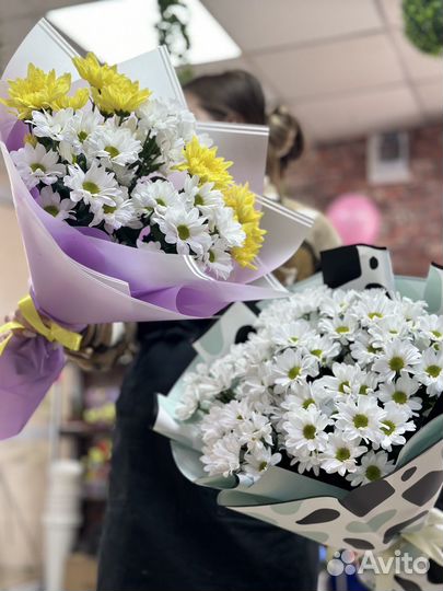 Хризантема кустовая