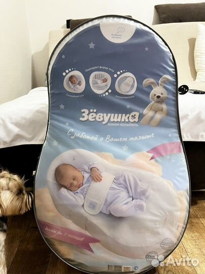 Кокон Зевушка