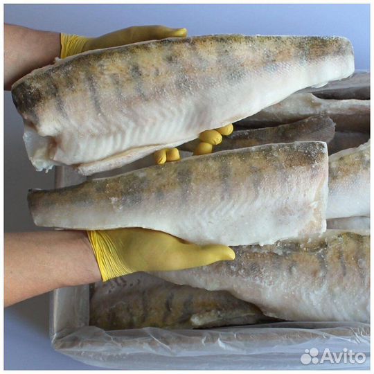 Филе судака с/м