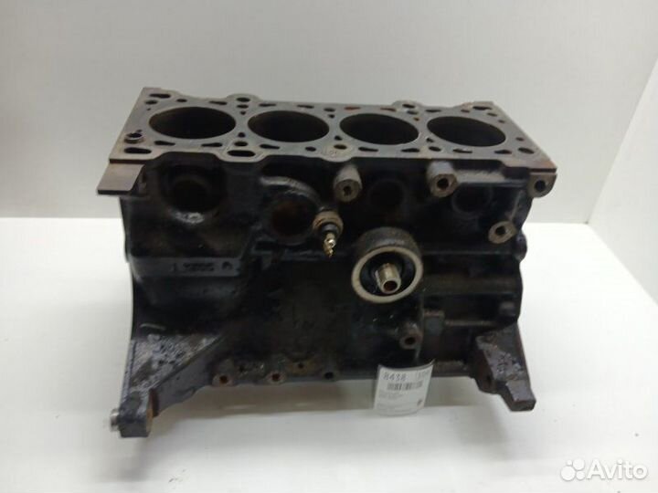 Блок двигателя Kia Rio