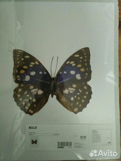 Постеры икеа