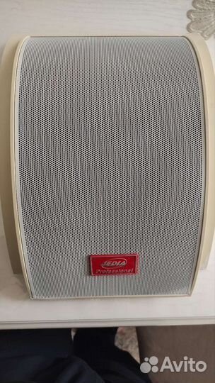 JWS-110W Jedia Настенный громкоговоритель