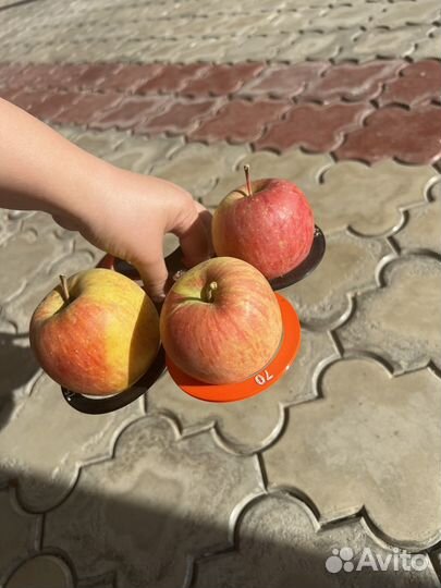 Яблоки Фуджи