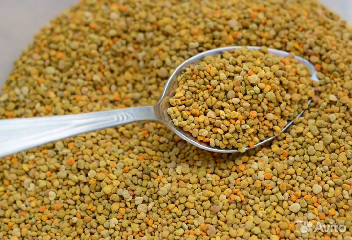 Пыльца пчелиная