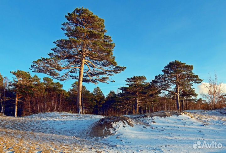 Экскурсия — Архангельск — Северодвинск, подлодки и