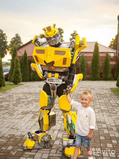 Анимация, детские праздники