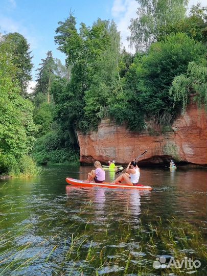 Прогулки на сапборде по реке Оредежу в Сиверской