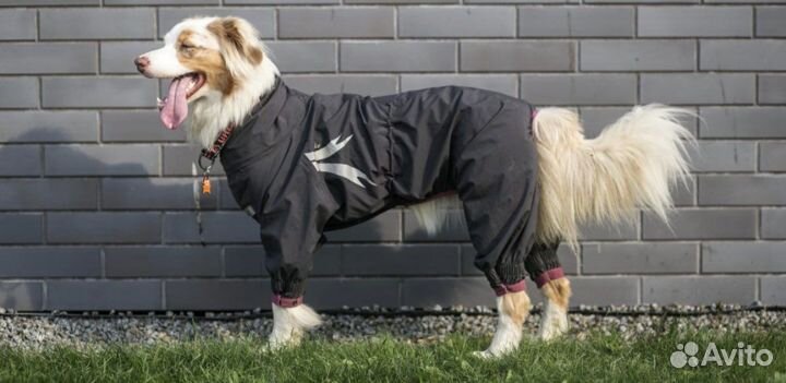Комбинезон, плащ осень для собак Hurtta