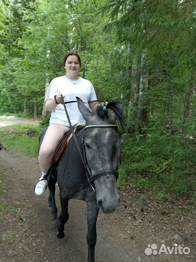 Катание на лошади