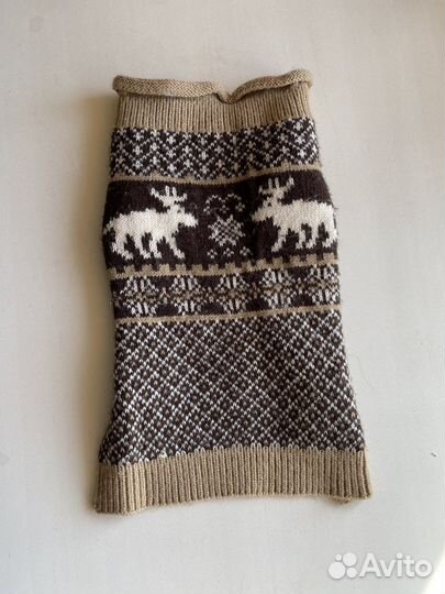 Одежда для собак