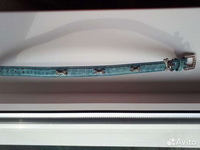 Ошейник для собак