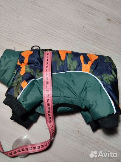 Одежда для собак мелких пород зима