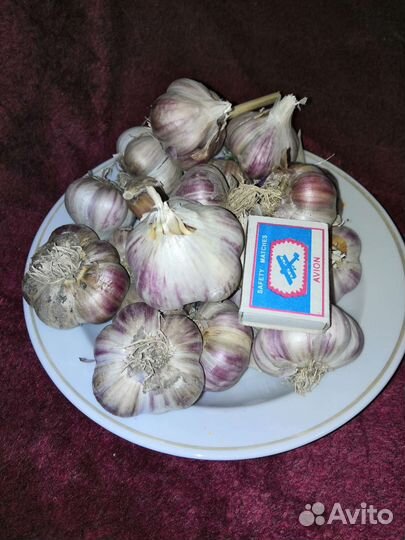 Чеснок