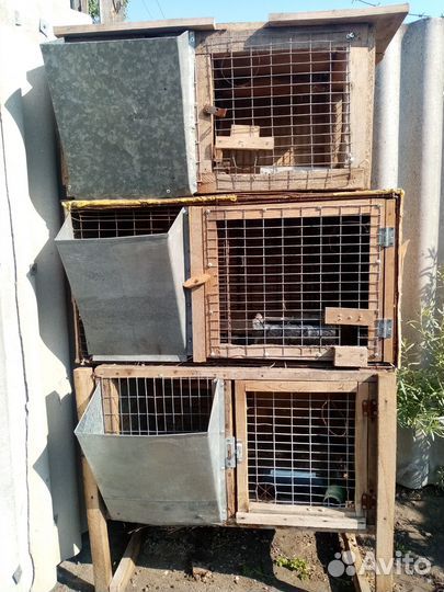 Клетки для кроликов