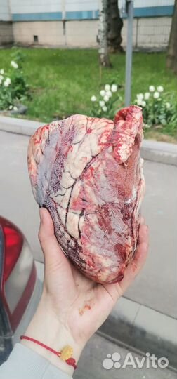 Мясо и субпродукты для собак