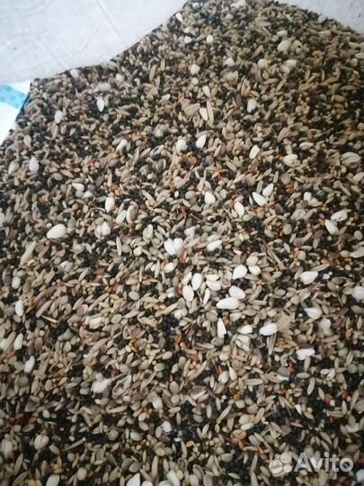 Корм для канареек, певчих птиц